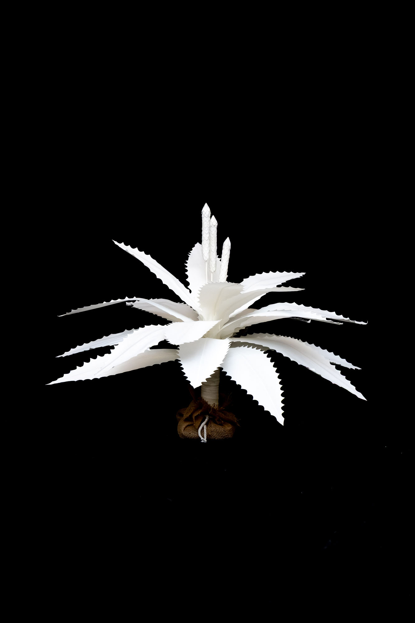 2′ Candelabrum Image