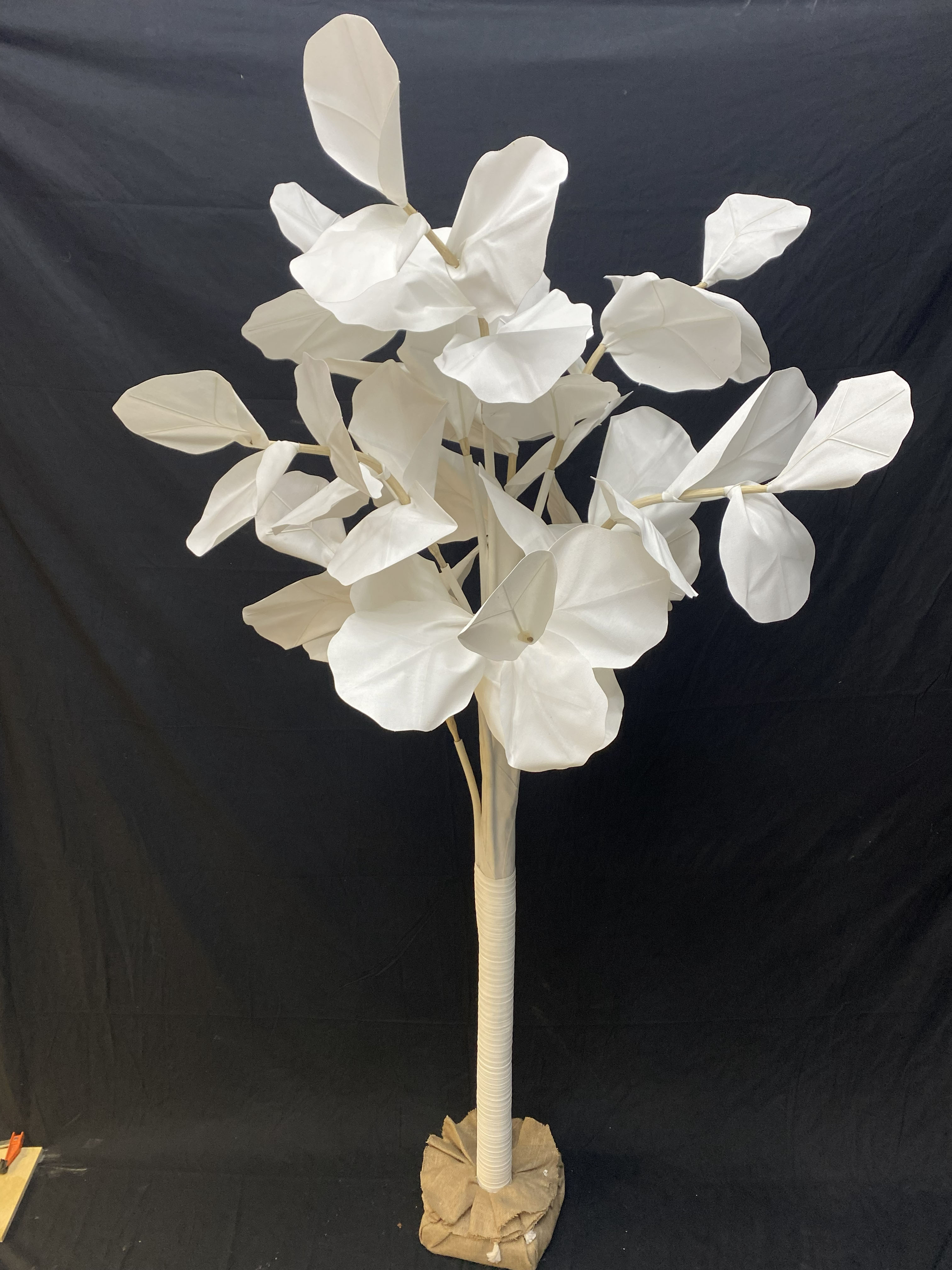 7′, 9′ Fiddle Image